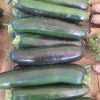 Courgettes vertes et jaunes – Image 2