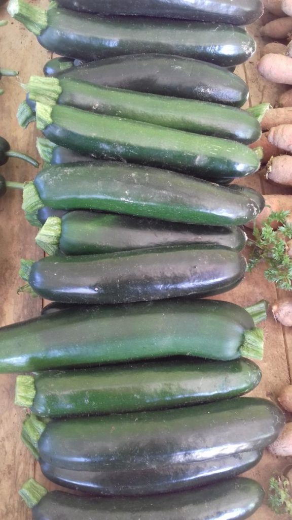 Courgettes vertes et jaunes – Image 2