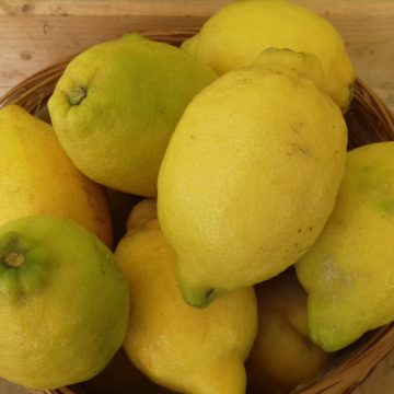 Citrons jaune