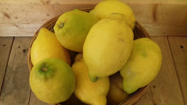Citrons jaune