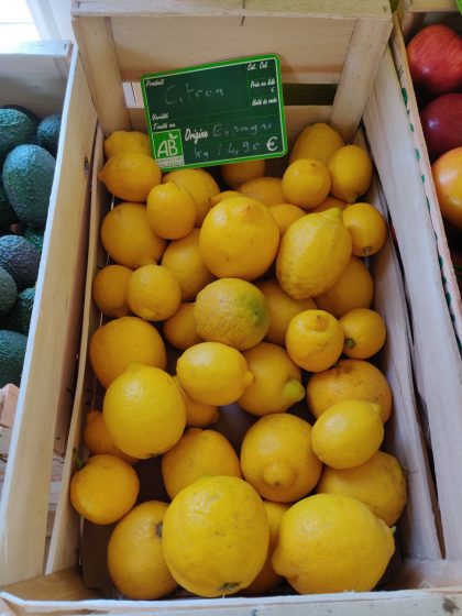 Citrons jaune – Image 2