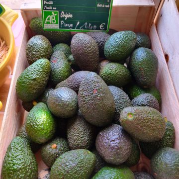 Avocats