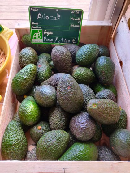 Avocats