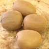 Kiwis – Image 3