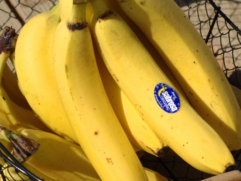 Bananes – Image 3