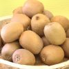 Kiwis – Image 4