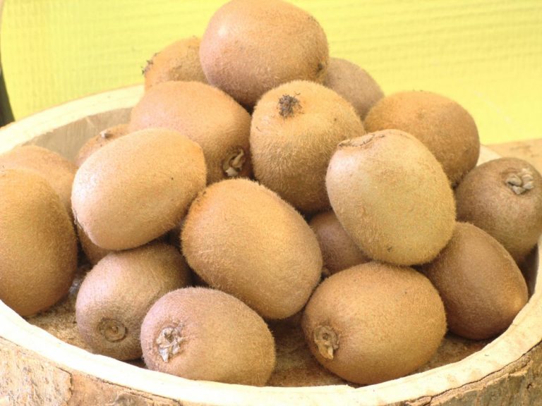 Kiwis – Image 4