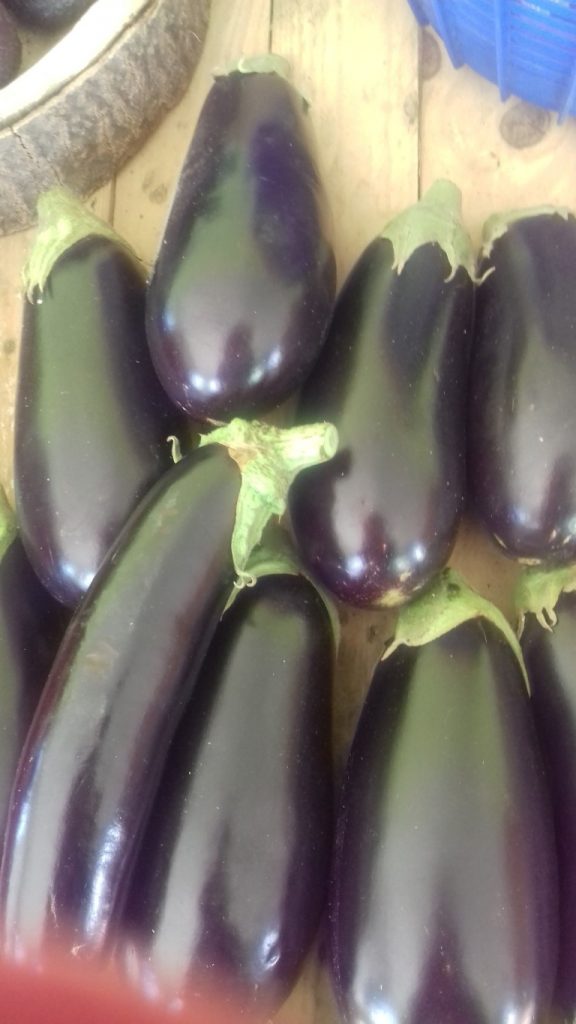Aubergines violettes