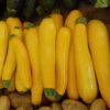 Courgettes vertes et jaunes – Image 3