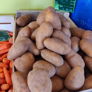 Pomme de terre
