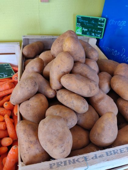 Pomme de terre