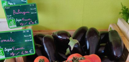 Aubergines violettes – Image 2