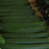 Concombre