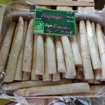 Asperges Blanches