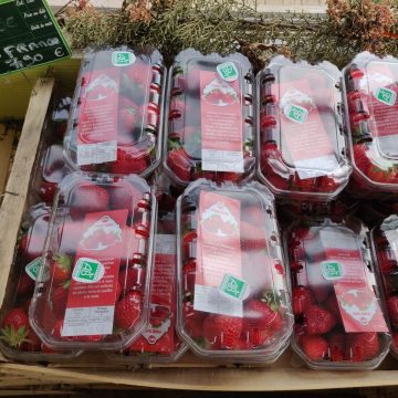 Fraises