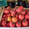 Tomates grappe