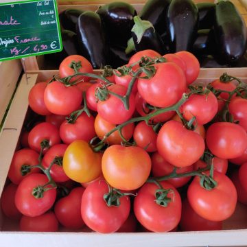 Tomates grappe