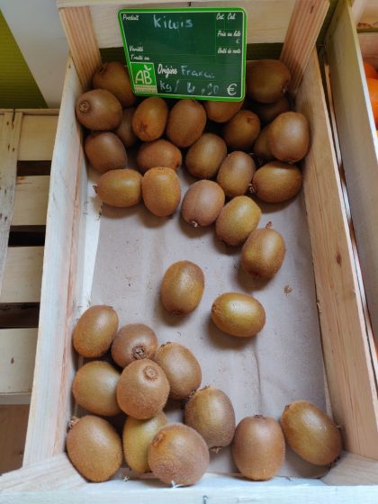 Kiwis – Image 2