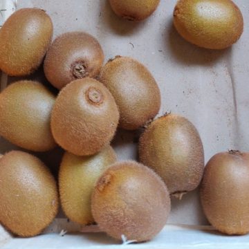 Kiwis