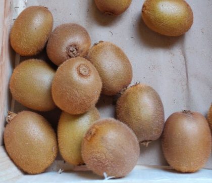 Kiwis