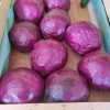 Choux Rouge – Image 2