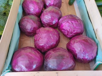 Choux Rouge – Image 2