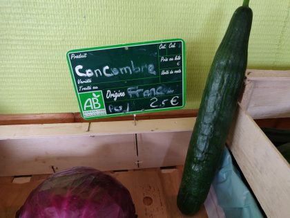 Concombre – Image 2